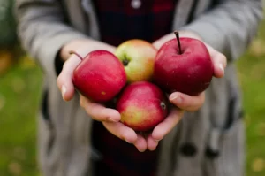 Les pommes sont des nutriments indispensables pour une bonne santé
