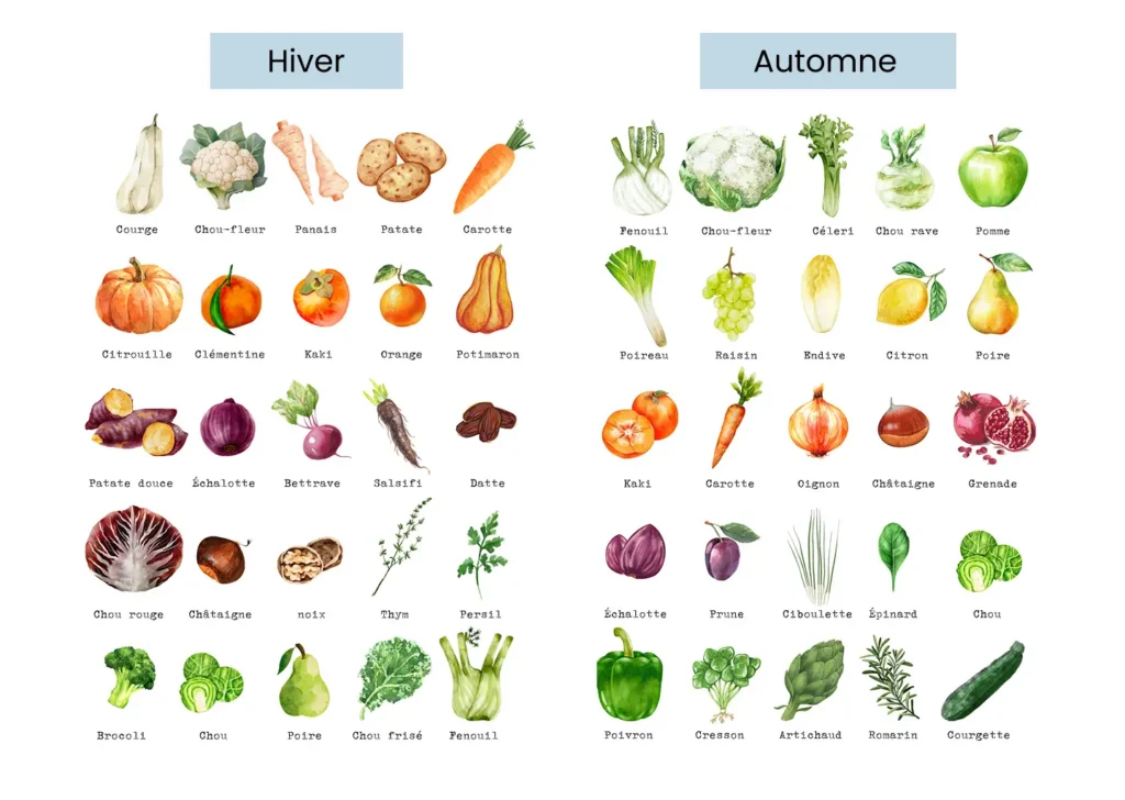 Les différents fruits et légumes à consommer à l'automne et en hiver pour manger de saison